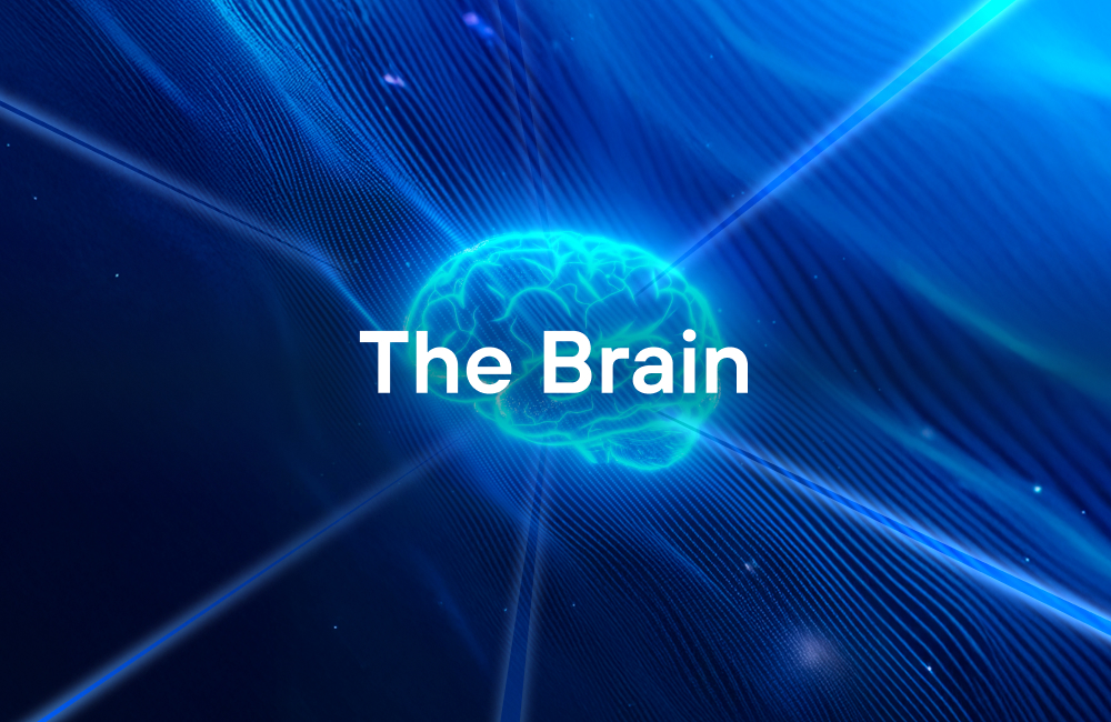 Impulsamos el retail con The Brain, la plataforma que transforma tu espacio comercial, relacional y experiencial